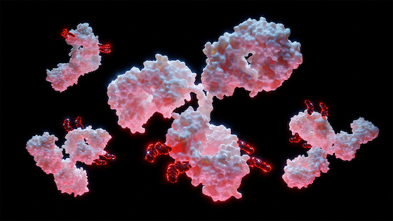 Novartis snaps up ADC developer Myricx in $1.5B deal
