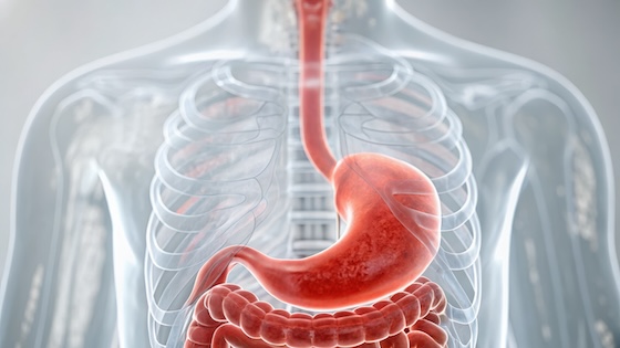 Spotlight On: Jazz nears potential approval for Ziihera as new front-line option for HER2-positive gastric cancer