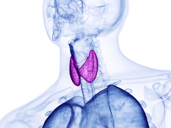 FDA approves first treatment in US for rare thyroid hormone disorder