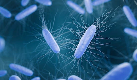 Vedanta raises $60M as microbiome therapy nears Phase III verdict