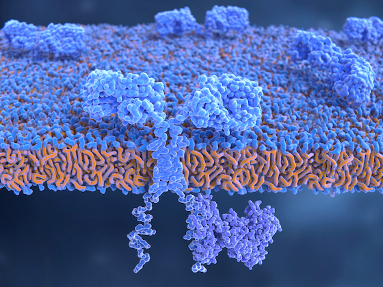 Fate reports early gains with off-the-shelf CAR-T in systemic sclerosis