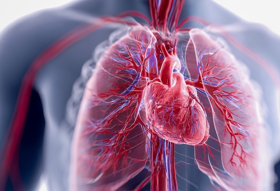 Alaunos lands Paragon-built pulmonary hypertension pipeline via Velaris merger