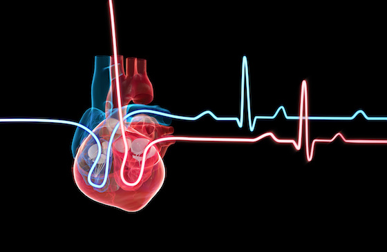 Echo IQ, Mayo Clinic to test AI for flagging heart failure risk in cancer patients