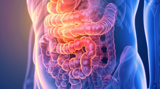 Vogenx aims to advance SGLT1 inhibitor with IPO cash