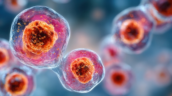 Newco ai3Bio bags $48M to take aim at disease-driving Th17 cells