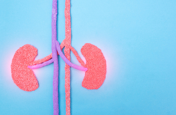 Bayer eyes wider label after Kerendia cuts kidney decline in non-diabetic CKD