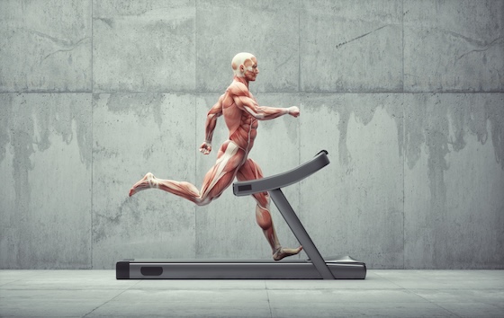 Xenco launches AI-enabled musculoskeletal screening tech
