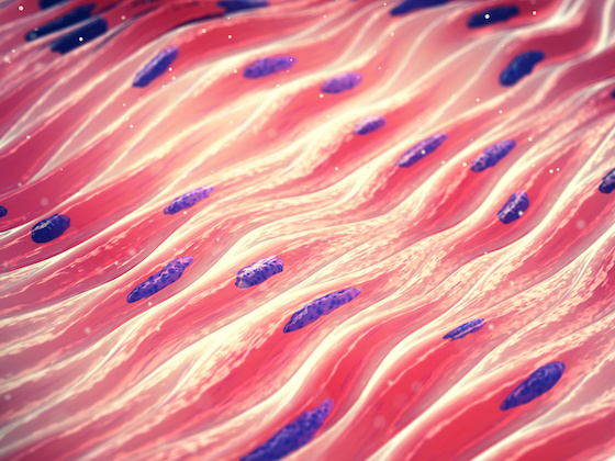 Novartis' del-desiran stumbles in Phase III myotonic dystrophy study; shares sink